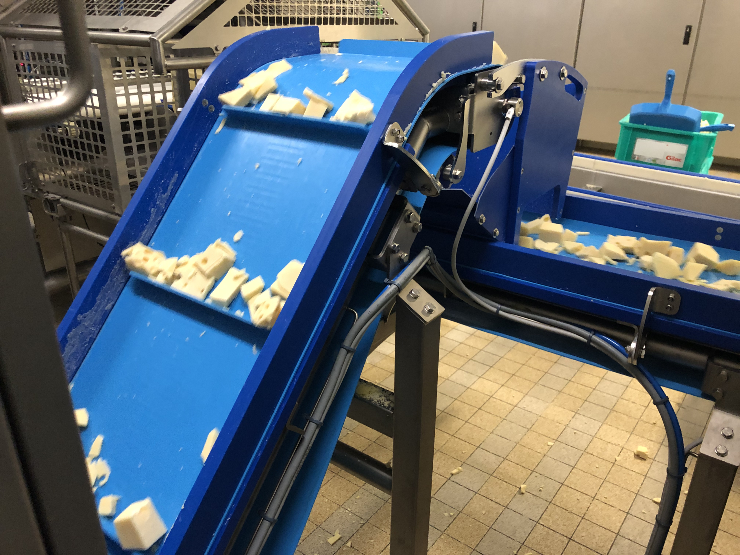 convoyeur à taquets hygiénique agroalimentaire de cubes de fromage